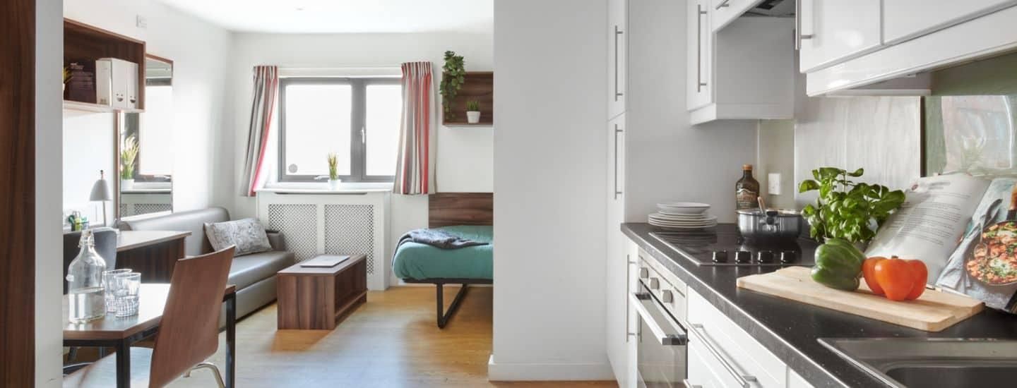 1 Bedroom Apartment